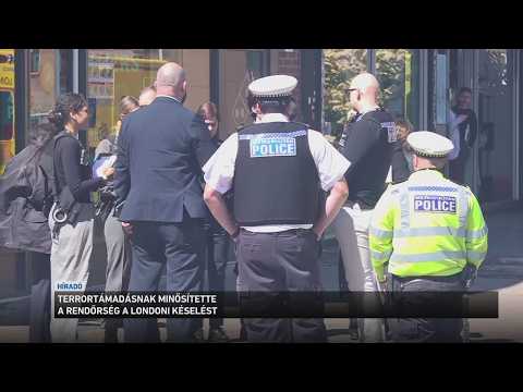 Terrorcselekménynek minősítette a rendőrség a londoni késelést サムネイル