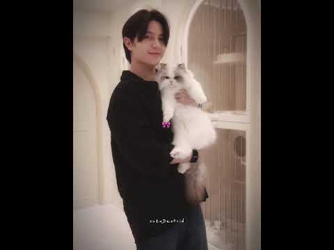 william with abel🎀 #williamjkp #gmmtv #fyp #blshorts #bl #williamest サムネイル