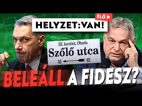 Áldozathibáztatás a Szőlő utcában サムネイル