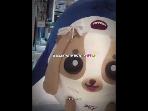 🎀🥹🫶🏻 #wesley #williamest #est_rvp #williamjkp #gmmtv #fyp #blshorts #bl サムネイル