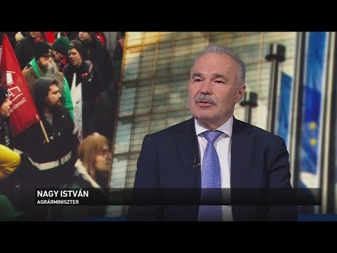 Az Európai Parlament ma megszavazta, hogy az Európai Bíróság elé viszi a Mercosur megállapodást サムネイル