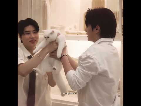 😭😭😭😭😭🤏🏻 #williamjkp #gmmtv #fyp #blshorts #bl #williamest サムネイル