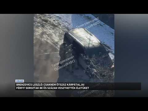 Csaknem ötszáz kárpátaljai férfit soroztak be és százan veszthették életüket a háborúban サムネイル