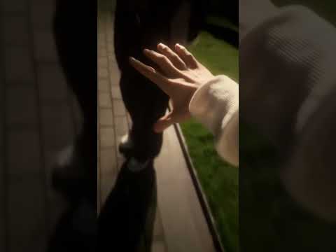 Meeting him was my lucky day | Hai Yan & Zhi Shi #bl #bltiktok #lgbt #jenvlog #đammỹ - BL Couple サムネイル