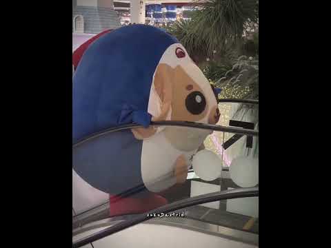 soo cutee😭🫶🏻 #wesley #williamest #williamjkp #est_rvp #gmmtv #fyp #blshorts #bl サムネイル