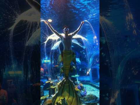 BL TikTok Video /소년 사랑 소년 /boy Love boy #boylove #blshorts #bltiktok #bl #boyloveboy #foryou #fyp サムネイル