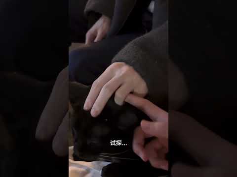 A tentative approach to my crush | Hai Yan & Zhi Shi #bl #bltiktok #lgbt #jenvlog #đammỹ - BL Couple サムネイル