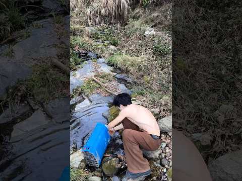 Boys | BL video | Asian Men | #body #boy #boyfriend #gay #bl #tiktok #trending #asian #shorts #fyp サムネイル