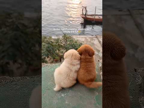 We could sit in silence for hours, and I’d still leave feeling full🤏🌸 サムネイル