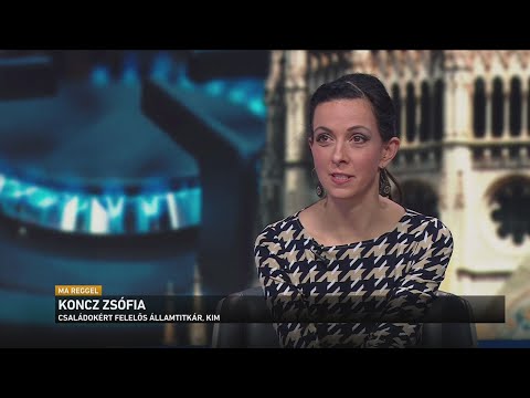 Üzenjük Brüsszelnek: Nem Fizetünk - Nemzeti Petíciót indít a kormány サムネイル