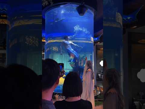 BL TikTok Video /소년 사랑 소년 /boy Love boy #boylove #blshorts #bltiktok #bl #boyloveboy #foryou #fyp サムネイル