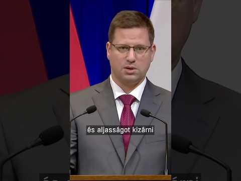 Szőlő utca: van felelőssége a kormánynak? サムネイル