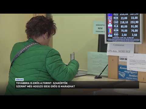 Továbbra is erős a forint サムネイル