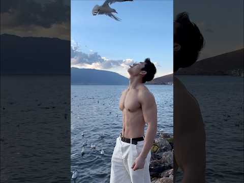 Boys | BL video | Asian Men | #body #boy #boyfriend #gay #bl #tiktok #trending #asian #shorts #fyp サムネイル