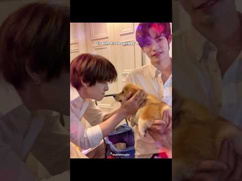 Qin’s puppies 🐶😽 サムネイル