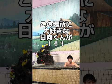 なら恋聖地巡礼 #なら恋 #日向亘 #推し活 #ゲイ #BL #Gay #vlog サムネイル