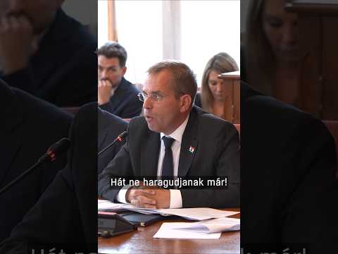 Erős pillanatok Ruff Bálint meghallgatásán サムネイル