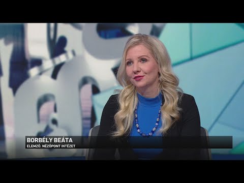 Borbély Beáta: Magyar Péter megsértette a választási eljárási törvényt サムネイル