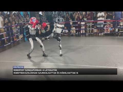 Robofest Szingapúrban  a látogatók robotbokszolóknak szurkolhattak, vagy akár kódolhattak サムネイル