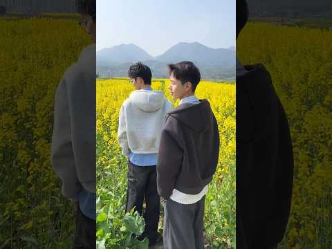 BL TikTok Video / Love 사랑 소년 / boy Loveboy #boylove #blshorts #bltiktok #bl #boyloveboy #foryou #fyp サムネイル
