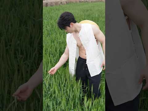 Boys | BL video | Asian Men | #body #boy #boyfriend #gay #bl #tiktok #trending #asian #shorts #fyp サムネイル