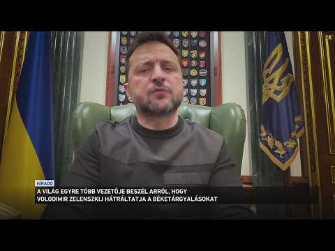 Egyre többen bírálják Volodimir Zelenszkijt サムネイル