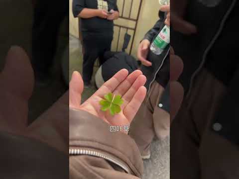 Four-Leaf Clover🍀 | #bl #bltiktok #lgbt #jenvlog #đammỹ - BL Couple サムネイル