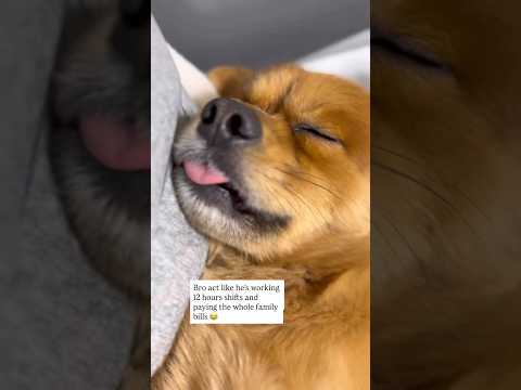 Leave me alone, I need to rest 😂😂 サムネイル