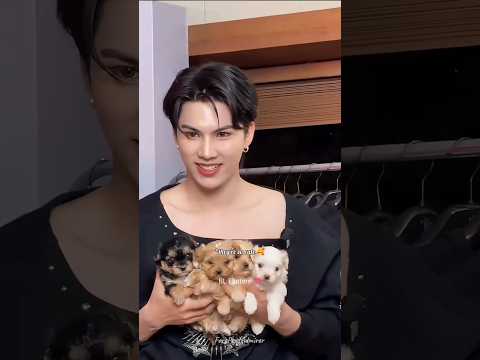 Fort with a puppy is so..😍🐶#fortpeat #blseries #thaibl #blshorts #bl #thaidrama #bldrama #bledit サムネイル