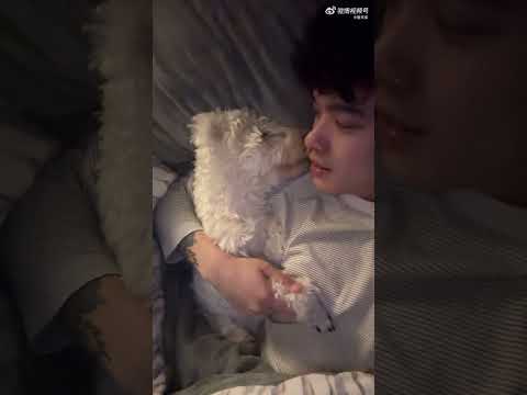 Xiao Xie & Xiao Gong #bl #bltiktok #lgbt #gay #jenvlog - BL Couple サムネイル