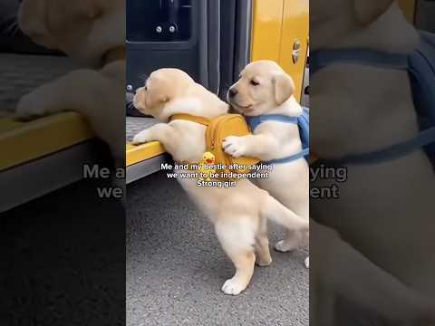 We’re just a girl 😂🤏🌸 サムネイル