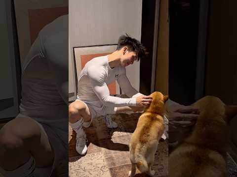 Boys | BL video | Asian Men | #body #boy #boyfriend #gay #bl #tiktok #trending #asian #shorts #fyp サムネイル