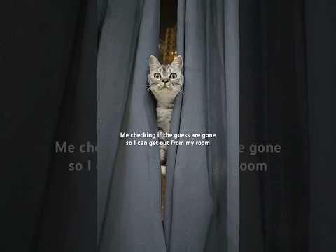 Me literally, when I’m at my parents house 😂😂 サムネイル