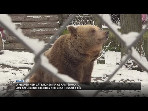 Már nem tart sokáig a tél サムネイル