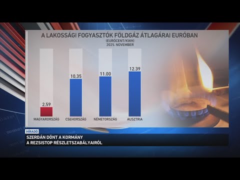 Szerdán dönthet a kormány arról hogyan hajtja végre a januári rezsistopot サムネイル