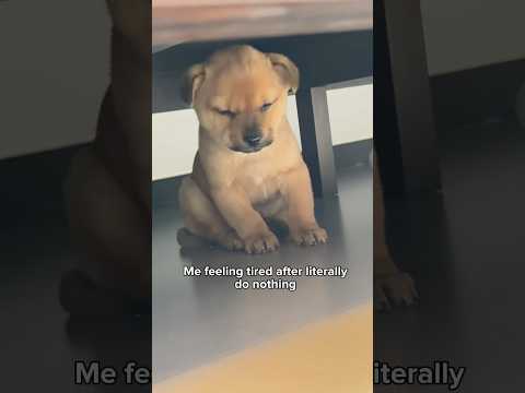 I’m just a baby 🥹🌸🤏 サムネイル