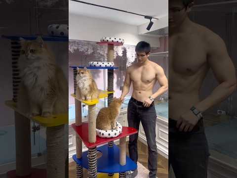 Boys | BL video | Asian Men | #body #boy #boyfriend #gay #bl #tiktok #trending #asian #shorts #fyp サムネイル