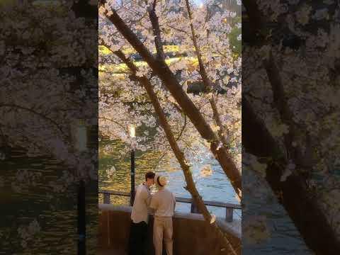 Spring Night | #bl #bltiktok #lgbt #jenvlog #đammỹ - BL Couple サムネイル