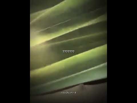 WHAT ARE THEY DOINNN 😭 #williamest #est_rvp #williamjkp #gmmtv #fyp #blshorts #bl サムネイル