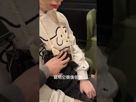 How to tell if a puppy likes you | #bl #lgbt #jenvlog #bltiktok #đammỹ #xh - BL Couple サムネイル