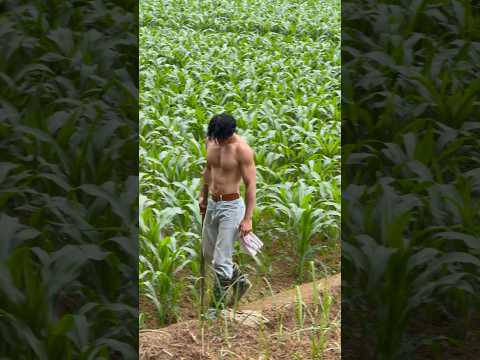 Boys | BL video | Asian Men | #body #boy #boyfriend #gay #bl #tiktok #trending #asian #shorts #fyp サムネイル