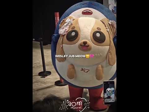 😽🎀 #Wesley #williamest #williamjkp #est_rvp #gmmtv #fyp #blshorts #bl サムネイル