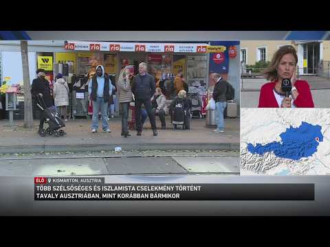 Megnőtt a szélsőséges cselekmények száma tavaly Ausztriában サムネイル