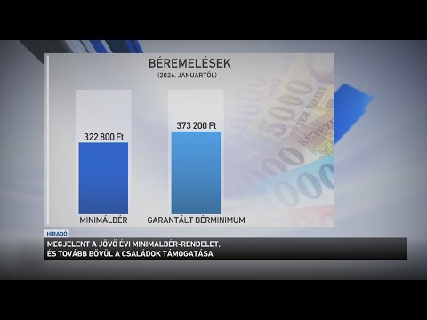 Megjelent a Magyar Közlönyben a jövő évi minimálbérről szóló rendelet サムネイル