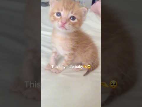 I’m dying with those eyes🥺 サムネイル