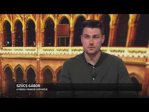 Magyar Péter: A minisztériumi vezetők a kormány megalakulásáig ne vállaljanak új kötelezettséget サムネイル