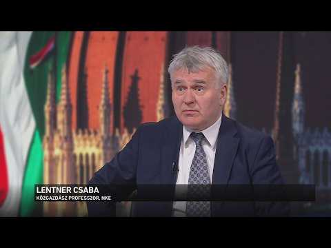 A Tisza Párt négy éven belül bevezetné az eurót Magyarországon サムネイル
