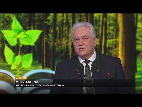 Sikerrel zárult a jelentkezés az Iskolában az Erdő Programra サムネイル