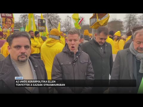 Az uniós agrárpolitika ellen tüntettek a gazdák Strasbourgban サムネイル