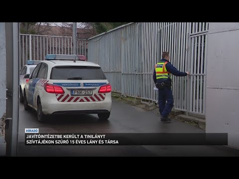 Javítóintézetbe került a tinilányt szívtájékon szúró 15 éves lány és társa サムネイル